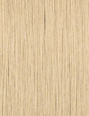 beige blonde hair color swatch