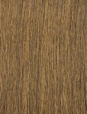 caramel blonde hair color swatch