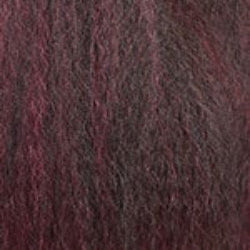FW1B/99J hair color swatch