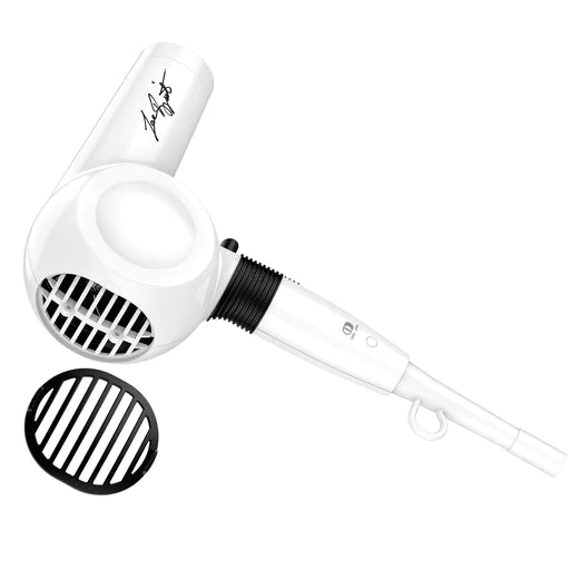 BABYLISS LEANDRO LIMITED MIDI DRYER 074108446947