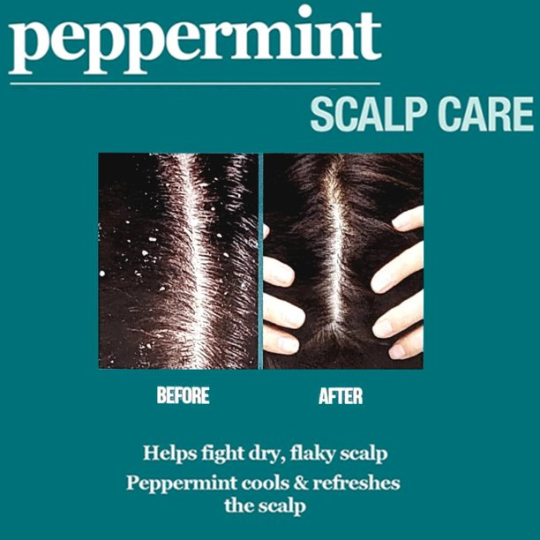 Difeel Peppermint Scalp Care Shampoo - 12 oz