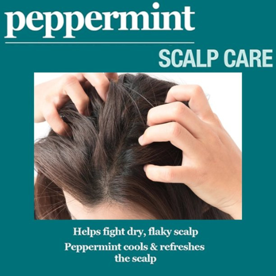 Difeel Peppermint Scalp Care Shampoo - 12 oz